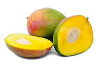 African Mango fruit